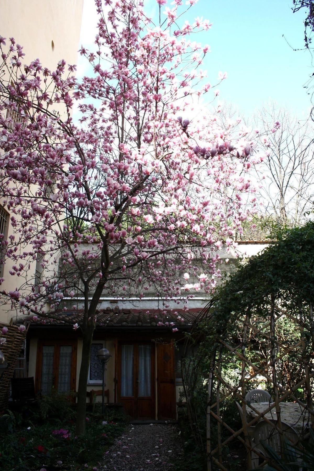 Affittacamere Casa Corsi Florenţa Exterior foto