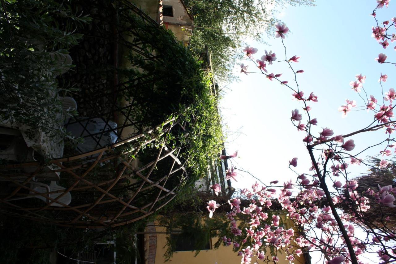 Affittacamere Casa Corsi Florenţa Exterior foto